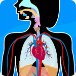 img [ANDROID] Anatomix - Il corpo umano v2025.3.0 .apk - ITA
