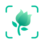 img [ANDROID] PictureThis Identificar Planta Premium v5.10.0 Mod .apk - ITA