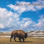img 7 Miles To Pittsburgh - 7 Miles To Pittsburgh (2017)